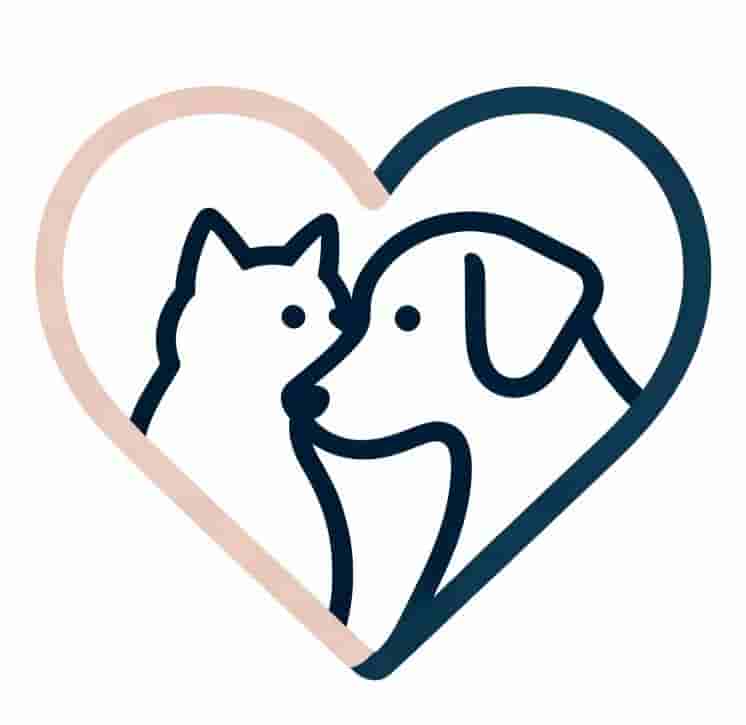 喵汪的近日论坛-喵汪的近日版块-日常-MeowWoof-喵汪同盟