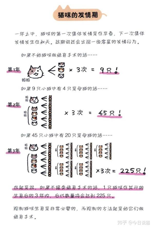 流浪动物为何需要绝育-MeowWoof-喵汪同盟