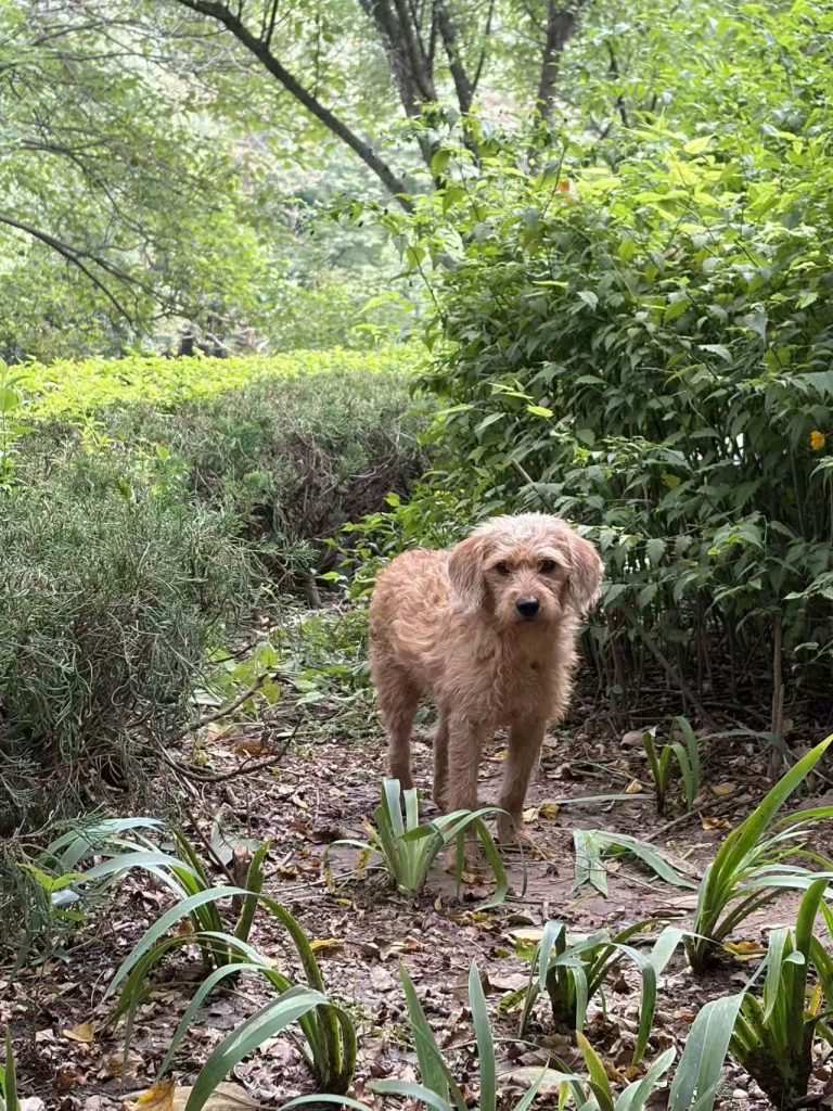 20251106222040531-1000063402