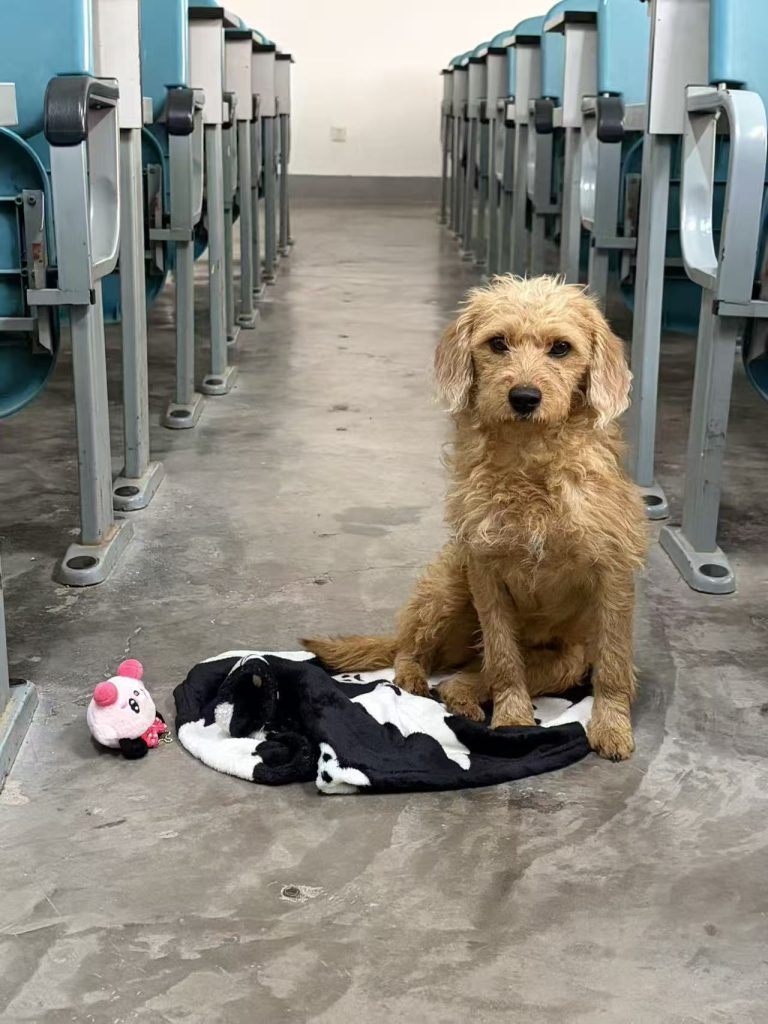 20251106222045452-1000063401