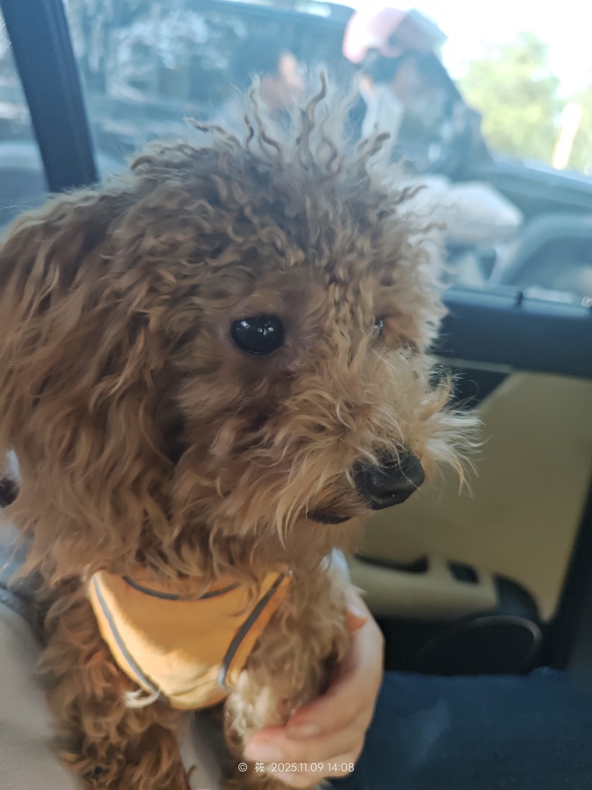 保护动物，也要保护自己-MeowWoof-喵汪同盟