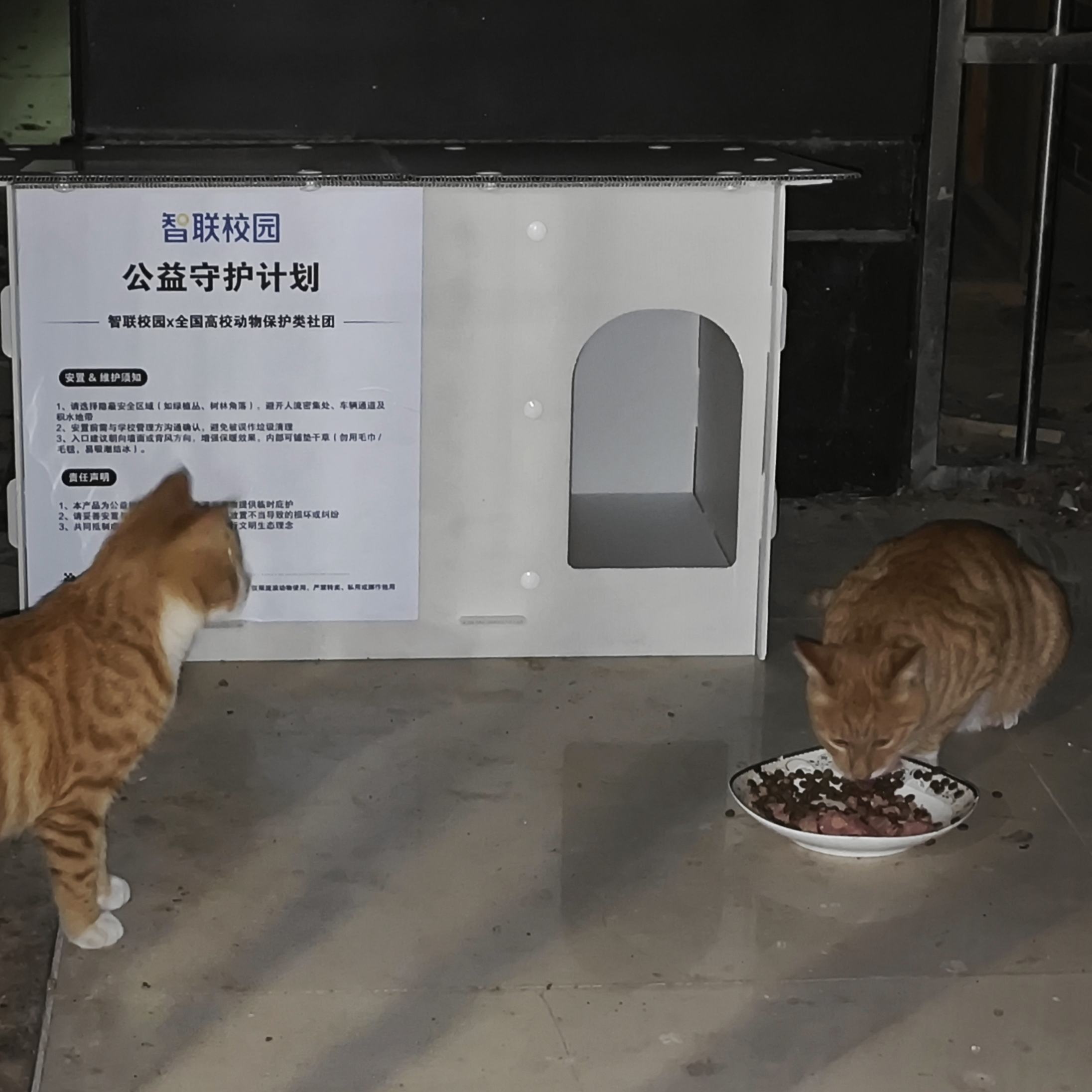 MeowWoof-喵汪同盟