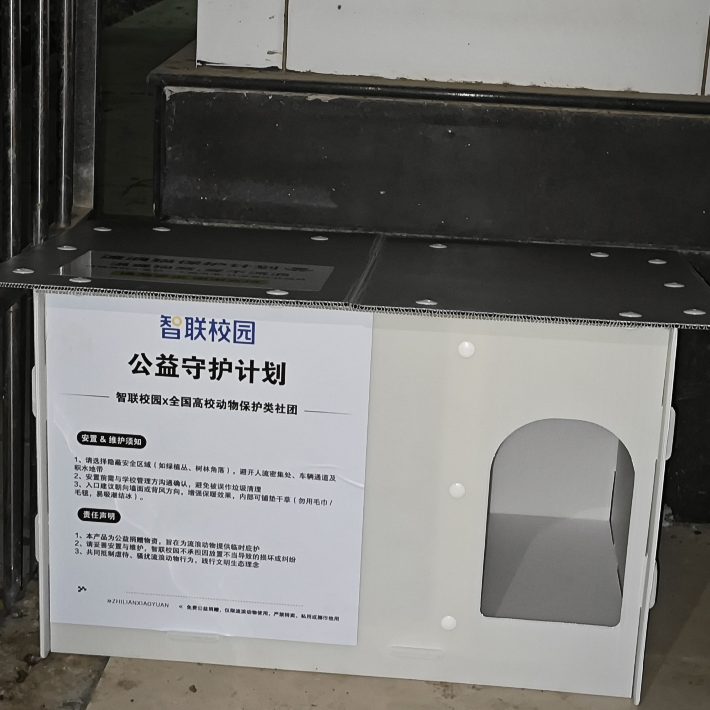 MeowWoof-喵汪同盟