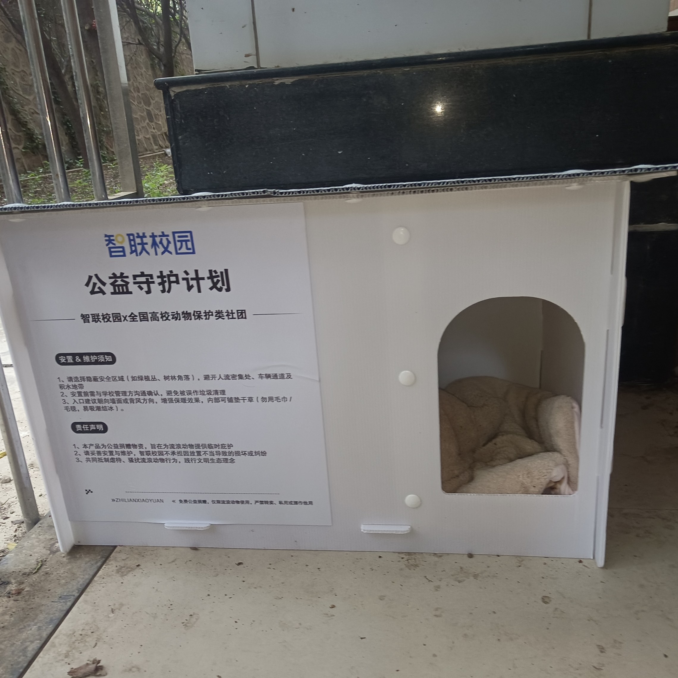 MeowWoof-喵汪同盟